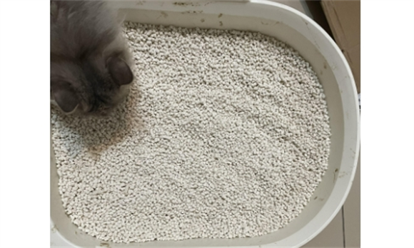 猫砂可以混合使用吗