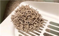 猫砂是什么材料做的