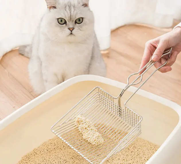 猫屎粘不住猫砂是太干了吗