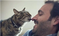 猫咪经常舔你脸可不是好事
