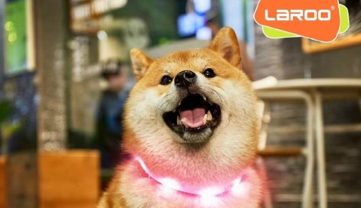 莱诺laroo多少钱