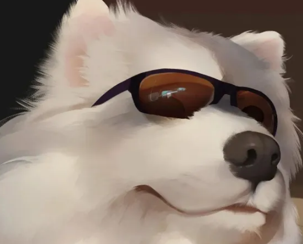 伯瑞犬咬人怎么办？这么训练绝对听话！