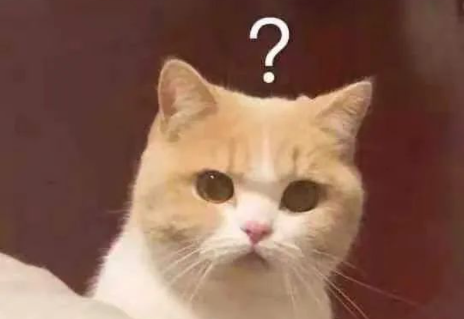 猫咪种类大全带图