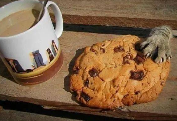 小猫偷吃粘一脸豆子,当场变身爆笑表情包,主人又好气又好笑 小猫偷吃粘一脸豆子,当场变身爆笑表情包,主人又好气又好笑