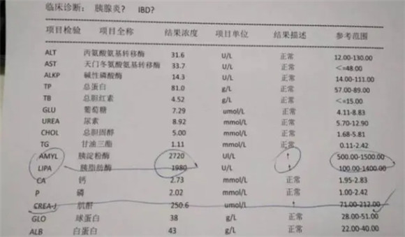 犬猫胰腺炎的诊断及治疗方法