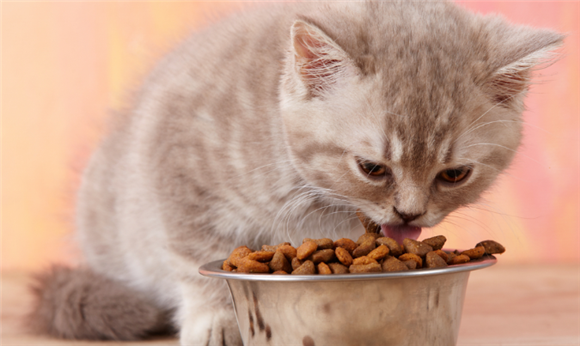 宠倪欢猫粮是哪个公司的 宠倪欢猫粮是哪个公司的