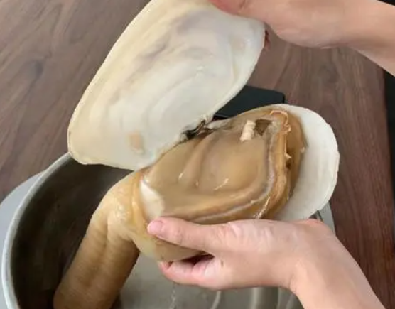 从蚌肉里挤出来的珍珠是真的吗