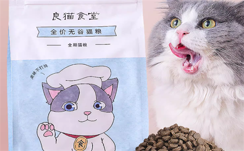良猫食堂