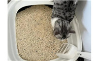 6l猫砂是多少斤