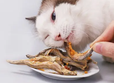 猫咪零食小鱼干淡水无盐