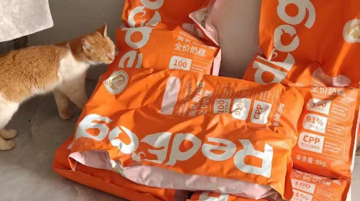 RedDog红狗 X 全心犬意| 用爱驱散炎夏的酷热 RedDog红狗 X 全心犬意| 用爱驱散炎夏的酷热