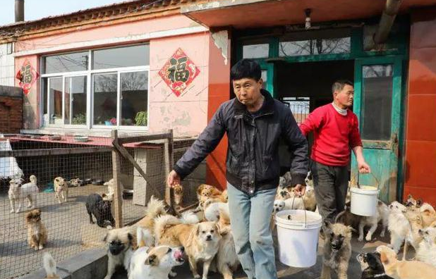 “几百只流浪狗饥荒缺粮”,74岁患肿瘤老人抱着狗狗求人模样让人泪目... “几百只流浪狗饥荒缺粮”,74岁患肿瘤老人抱着狗狗求人模样让人泪目...