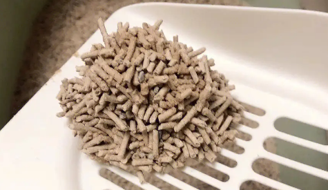 猫砂是什么材料做的