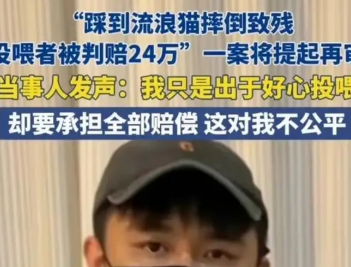 喂流浪猫被判赔24万的大哥站出来了:人心不该遭遇这样的背刺之痛 喂流浪猫被判赔24万的大哥站出来了:人心不该遭遇这样的背刺之痛