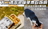 太二不吃饭可以拿猫粮