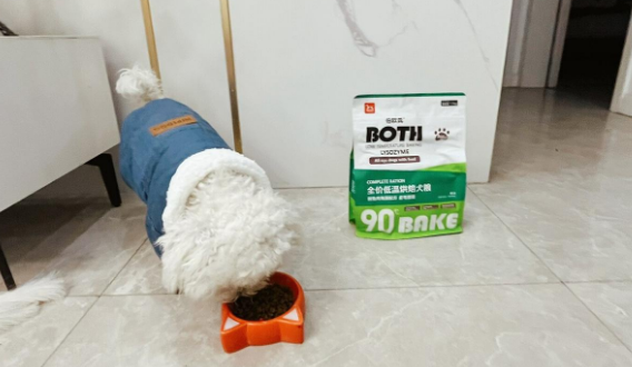 both狗粮好吗 both狗粮好吗