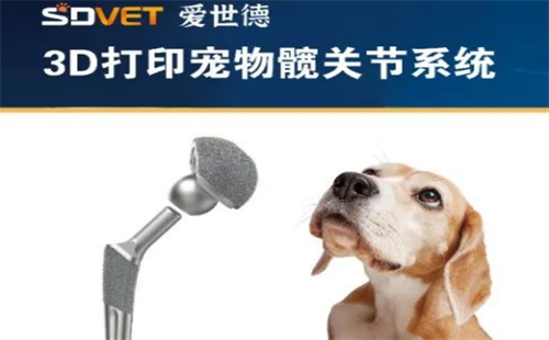 爱世德
