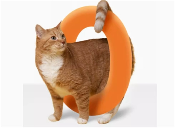 聪颖猫粮怎么样？好不好？