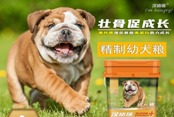 汉格瑞狗粮和比乐狗粮哪个好
