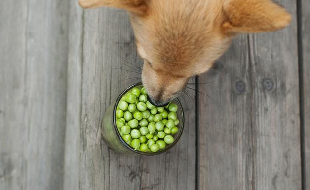 狗狗能吃豌豆吗