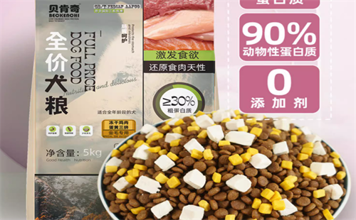 贝肯奇