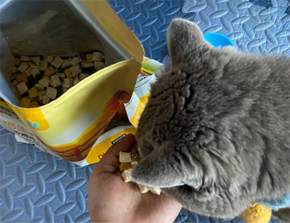 一文读懂猫屿猫粮怎么样? 一文读懂猫屿猫粮怎么样?