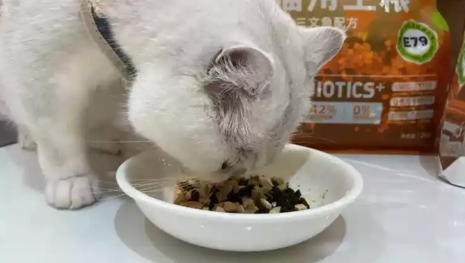 【凯特思】全价E79猫粮,营养丰富的美味盛宴! 【凯特思】全价E79猫粮,营养丰富的美味盛宴!