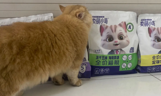 卖萌小哥猫粮：让猫咪健康又快乐