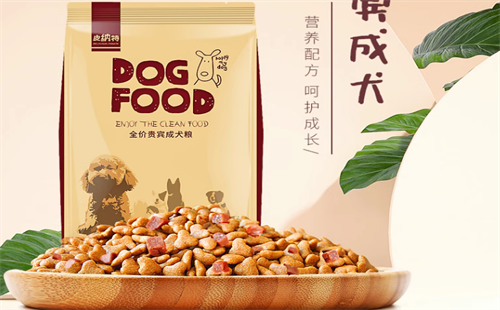 皮纳特