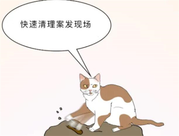 如果你在猫砂里拉屎，猫会帮你埋吗？