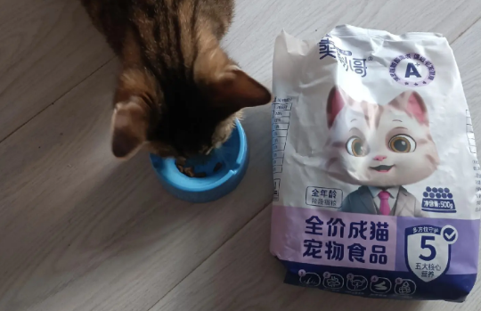 猫咪的专属美食——卖萌小哥猫粮