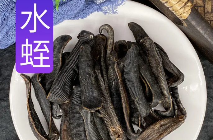 水蛭干今日价格中心