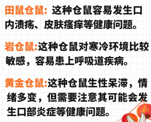 八大最凶的仓鼠,你了解多少? 八大最凶的仓鼠,你了解多少?