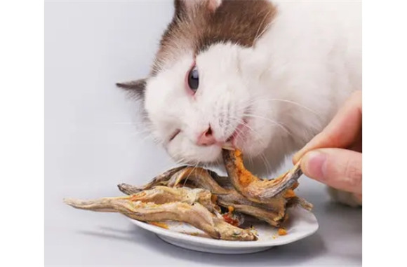 猫咪吃的小鱼小猫零食干