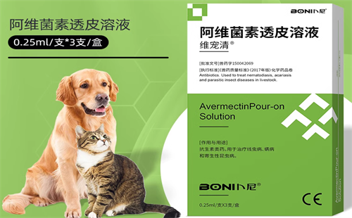 卜尼