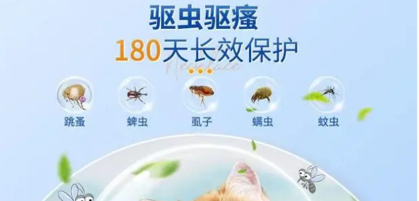 宠维森猫咪狗狗驱蚊项圈：舒适、环保，为爱宠保驾护航！