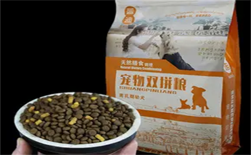 蕊迪