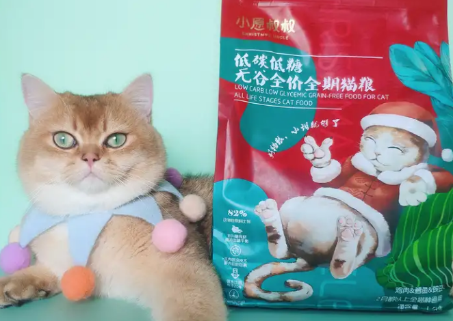 小愿叔叔猫粮试吃体验