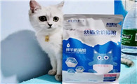 详解，希瑞尔猫粮是高端猫粮吗？