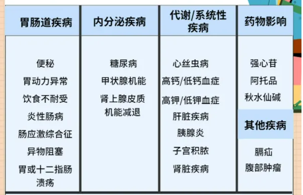 建议收藏！盘点犬猫呕吐7种情况，后2种会致命！