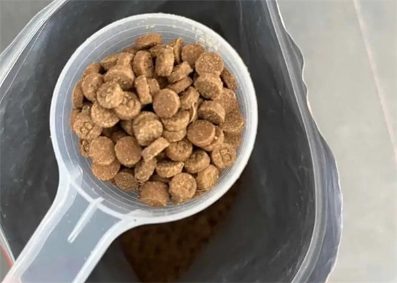 妙斯顿狗粮测评,铲屎官的好选择! 妙斯顿狗粮测评,铲屎官的好选择!