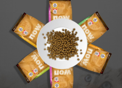 猫咪美食：探索猫所猫粮的无限魅力