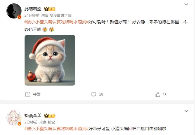 被小小猫头鹰认真吃饭喝水萌到了! 被小小猫头鹰认真吃饭喝水萌到了!