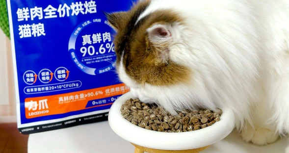 力爪猫粮,把真鲜肉猫粮端上猫咪餐桌! 力爪猫粮,把真鲜肉猫粮端上猫咪餐桌!