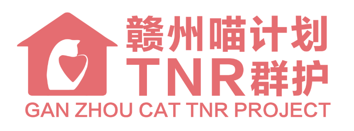 喵计划TNR项目|群护入门，新手看过来