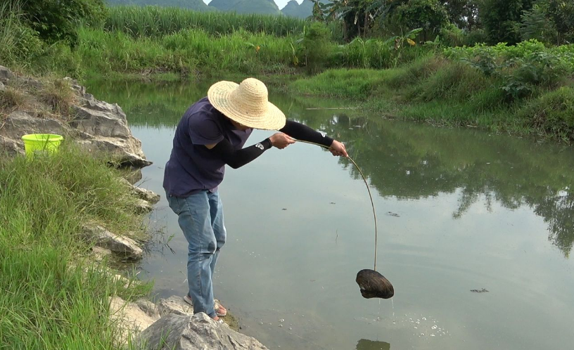 钓河蚌怎么钓