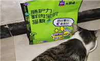 优质之选丨大食怪猫粮，给猫咪最好的呵护