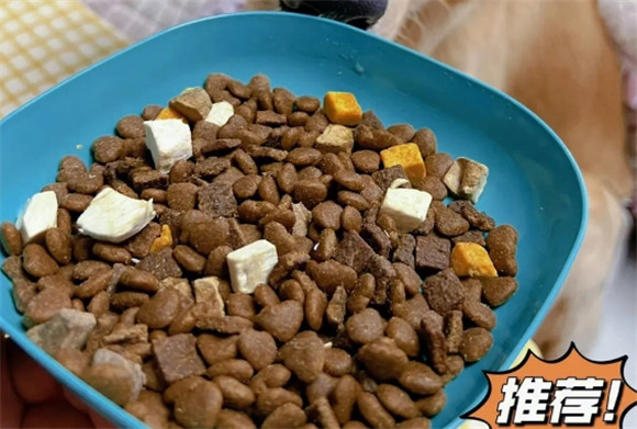 妙斯顿猫粮怎么样?好吃吗? 妙斯顿猫粮怎么样?好吃吗?