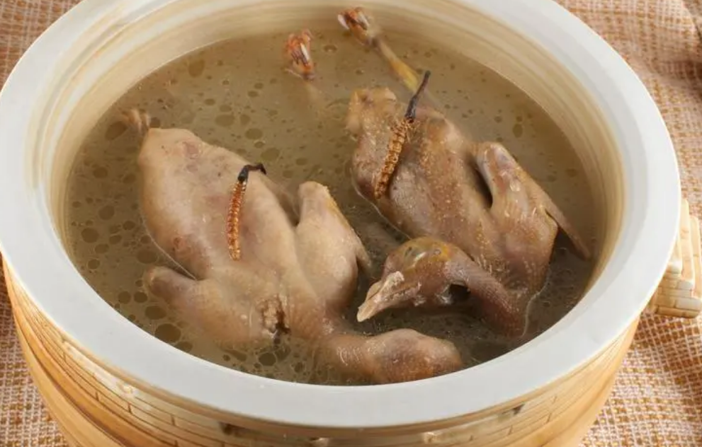 鸽子用什么炖比较好 鸽子用什么炖比较好