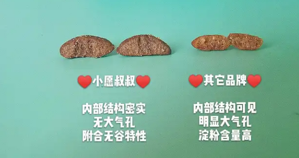 小愿叔叔猫粮试吃体验